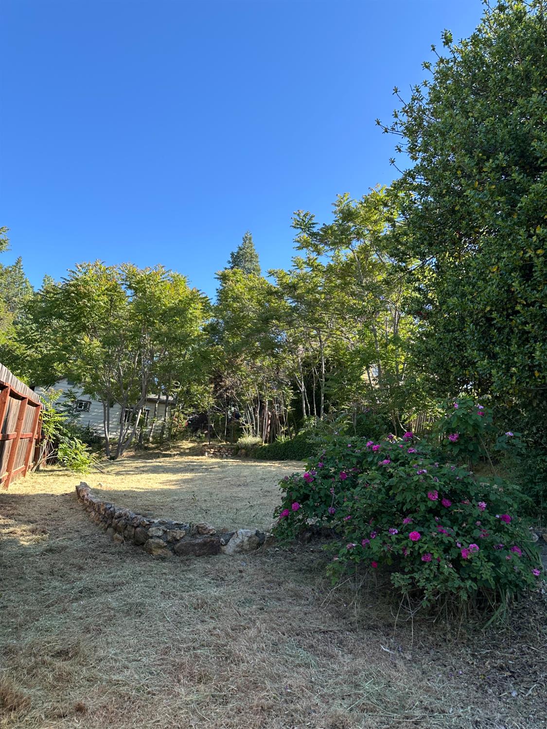 Detail Gallery Image 31 of 32 For 240 E Main St, Grass Valley,  CA 95945 - – Beds | – Baths