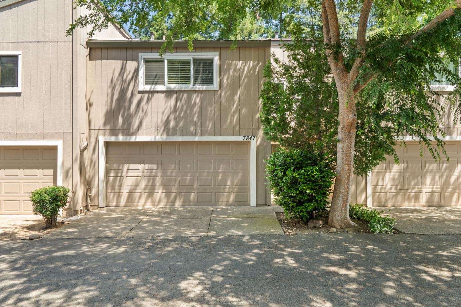 Photo #2: 225066352 Listing 