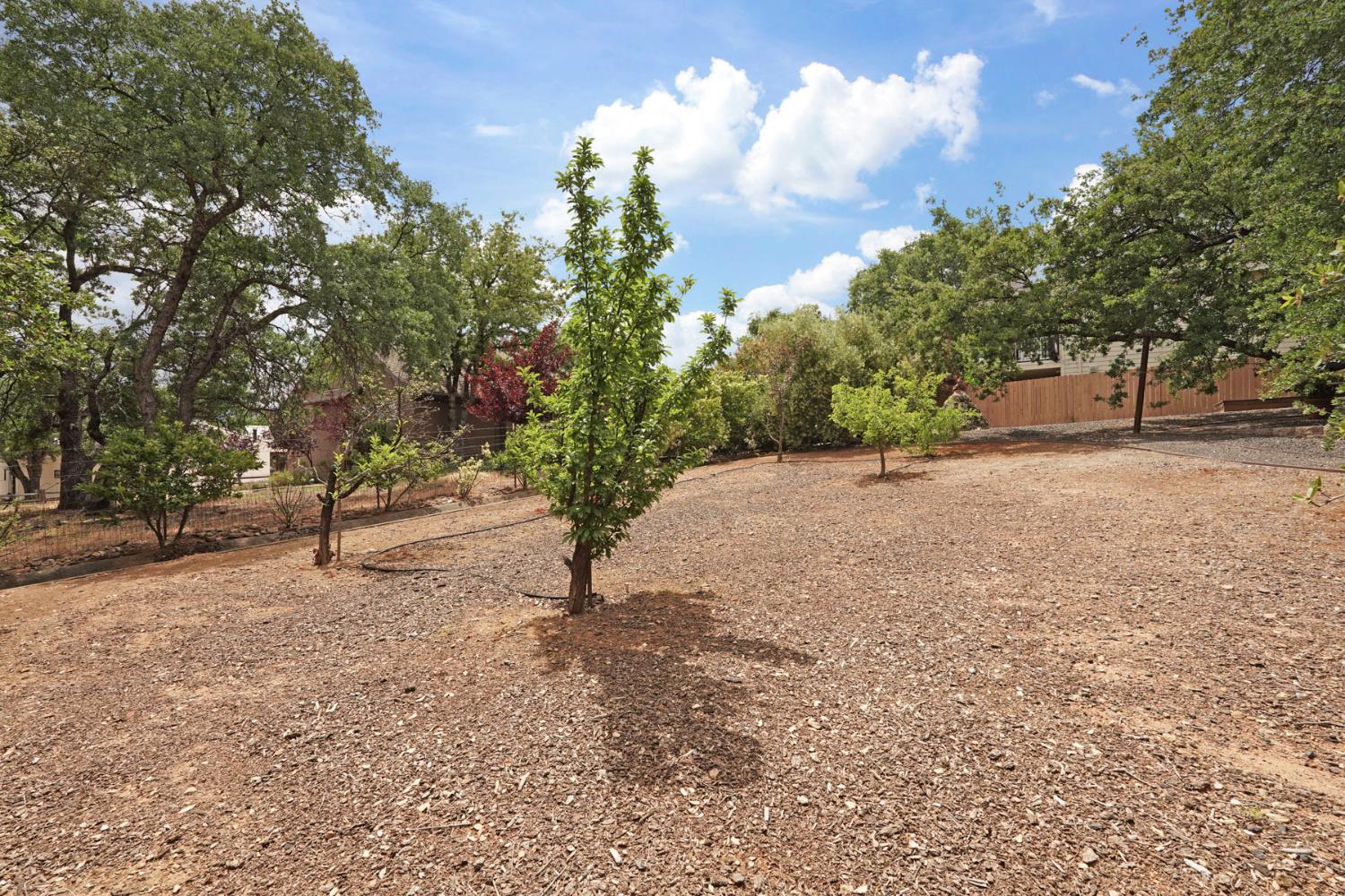 Detail Gallery Image 55 of 65 For 658 Live Oak Dr, Angels Camp,  CA 95222 - 3 Beds | 2/1 Baths