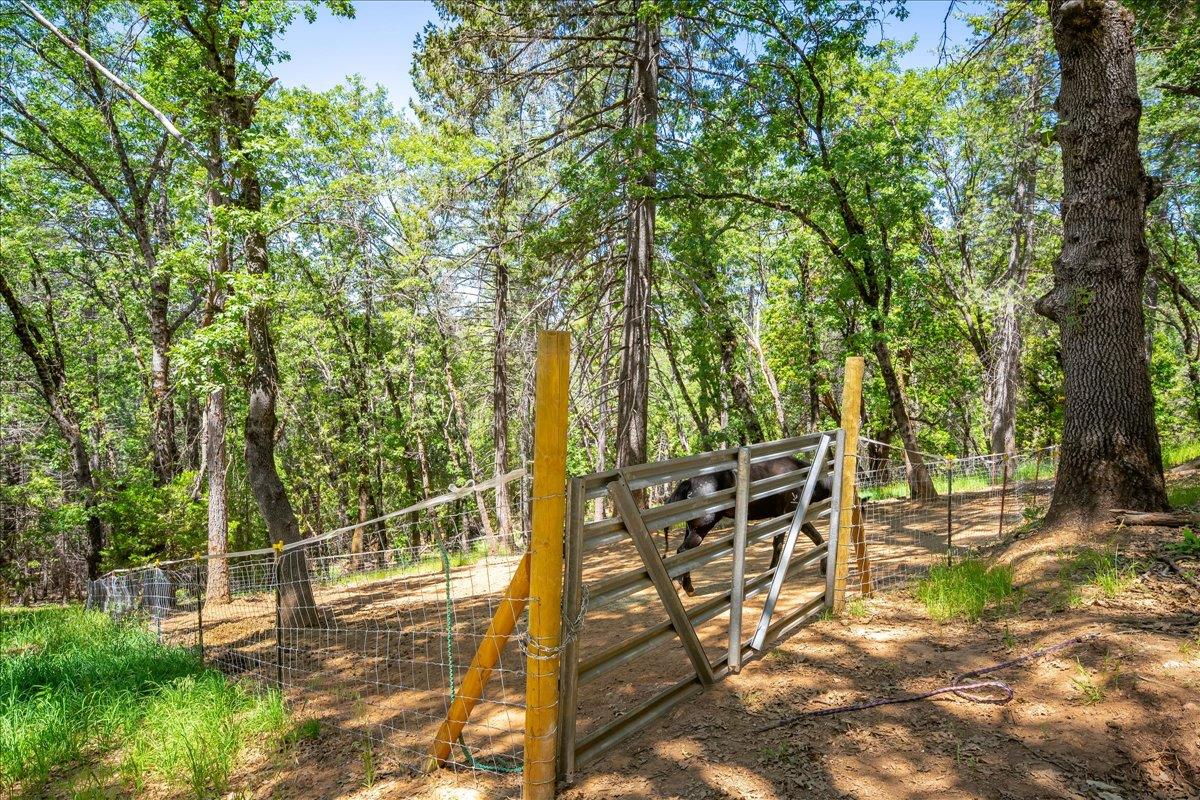 Detail Gallery Image 60 of 85 For 6551 Forest View Dr, Georgetown,  CA 95634 - 3 Beds | 3/1 Baths