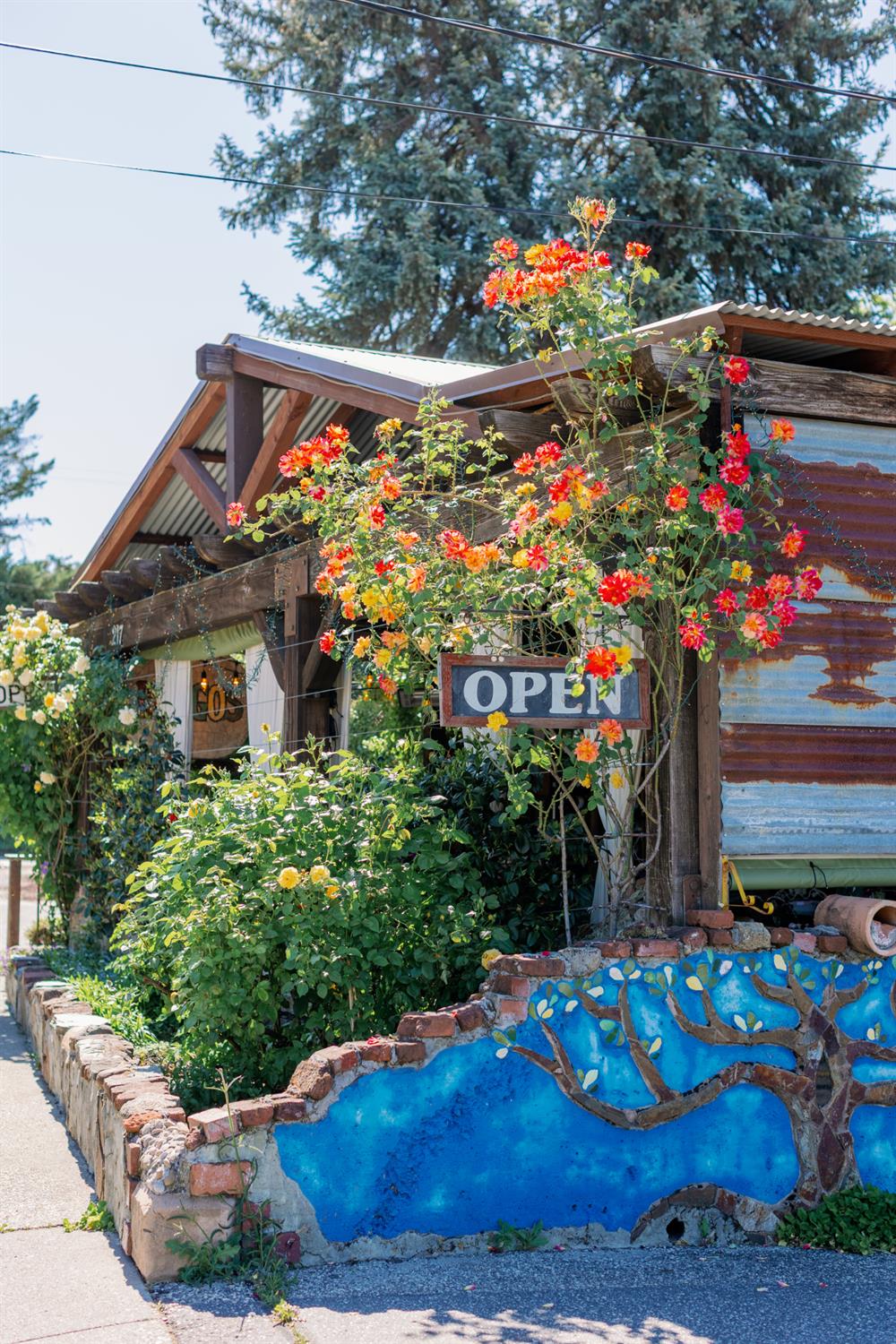 Detail Gallery Image 19 of 28 For 217 Colfax Ave, Grass Valley,  CA 95945 - – Beds | – Baths