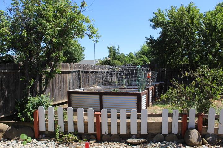 Detail Gallery Image 20 of 23 For 25987 Duncan Dr, Esparto,  CA 95627 - 4 Beds | 2 Baths