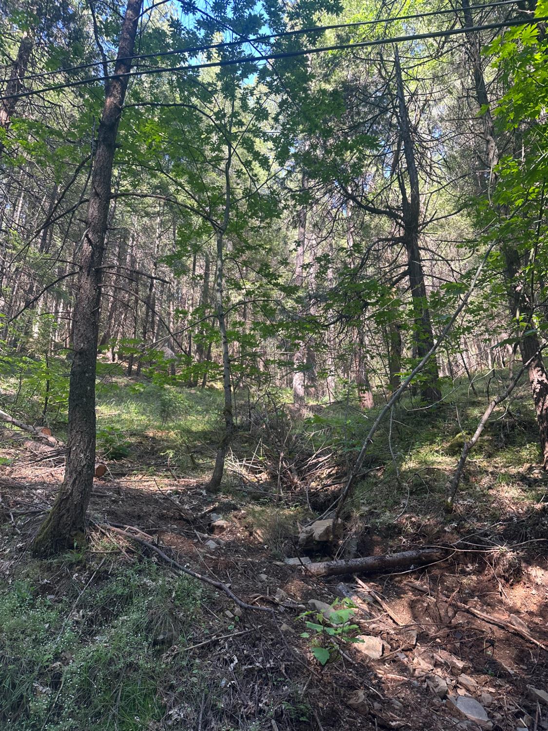 Detail Gallery Image 13 of 14 For 0 Clear Creek Road, Placerville,  CA 95667 - – Beds | – Baths