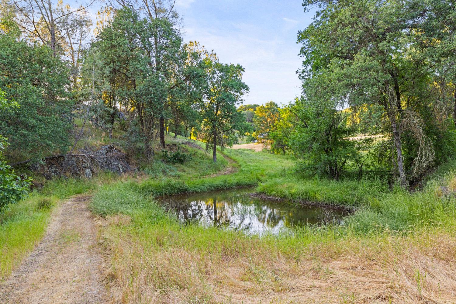 Detail Gallery Image 64 of 77 For 1761 Springvale Rd, Placerville,  CA 95667 - 4 Beds | 3 Baths