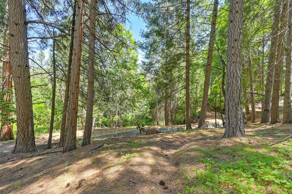 Detail Gallery Image 75 of 99 For 237 Sunnyside Dr, Colfax,  CA 95713 - 3 Beds | 2 Baths
