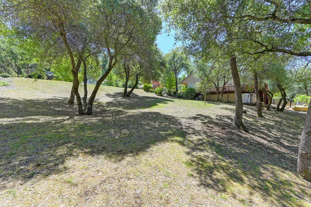 Detail Gallery Image 16 of 21 For 1624 Pheasant Run Dr, Placerville,  CA 95667 - – Beds | – Baths