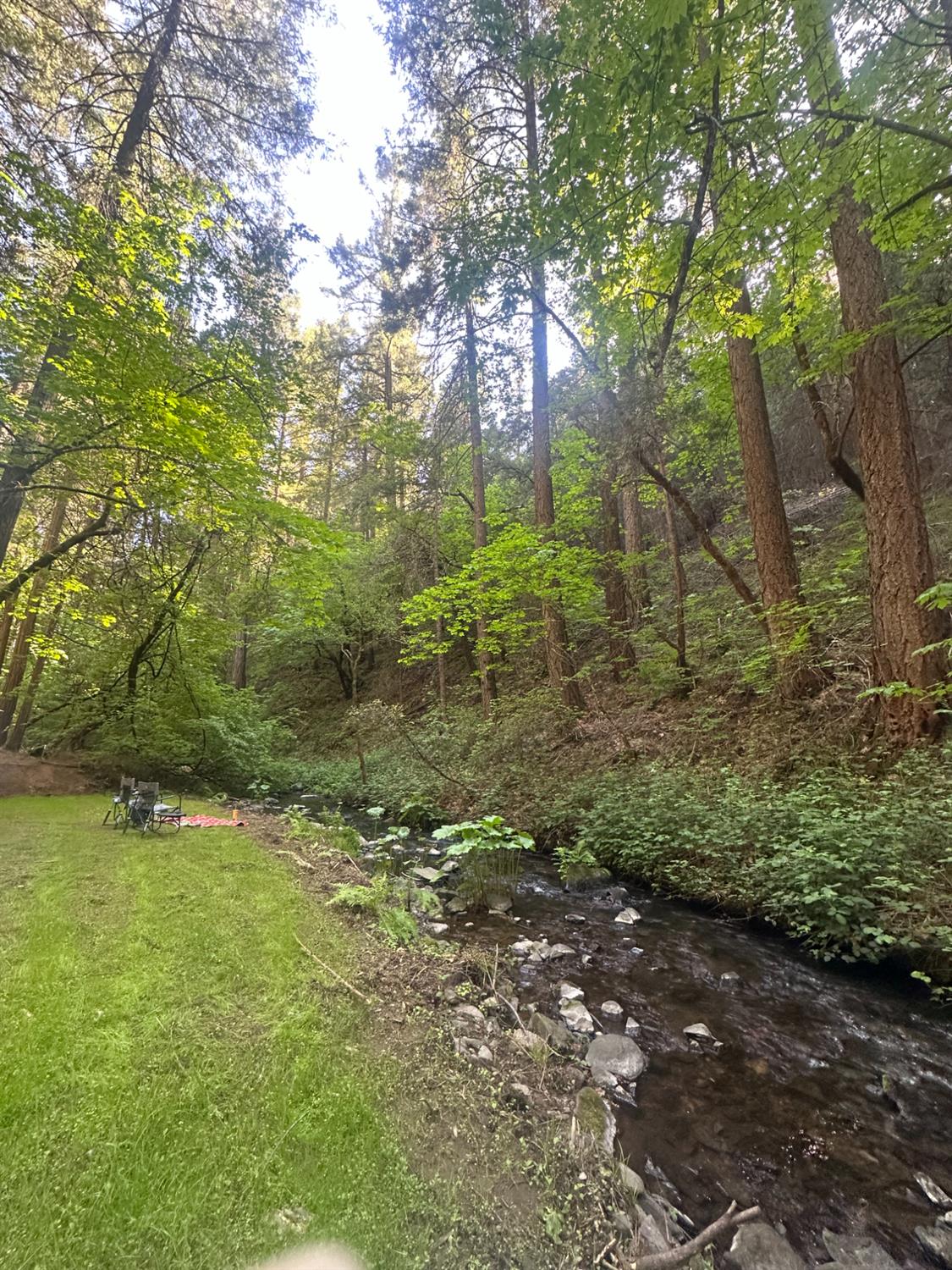 Detail Gallery Image 6 of 14 For 0 Clear Creek Road, Placerville,  CA 95667 - – Beds | – Baths