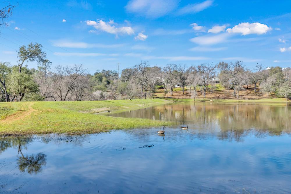 Detail Gallery Image 73 of 88 For 4620 Scenic Dr, Shingle Springs,  CA 95682 - 4 Beds | 3/1 Baths