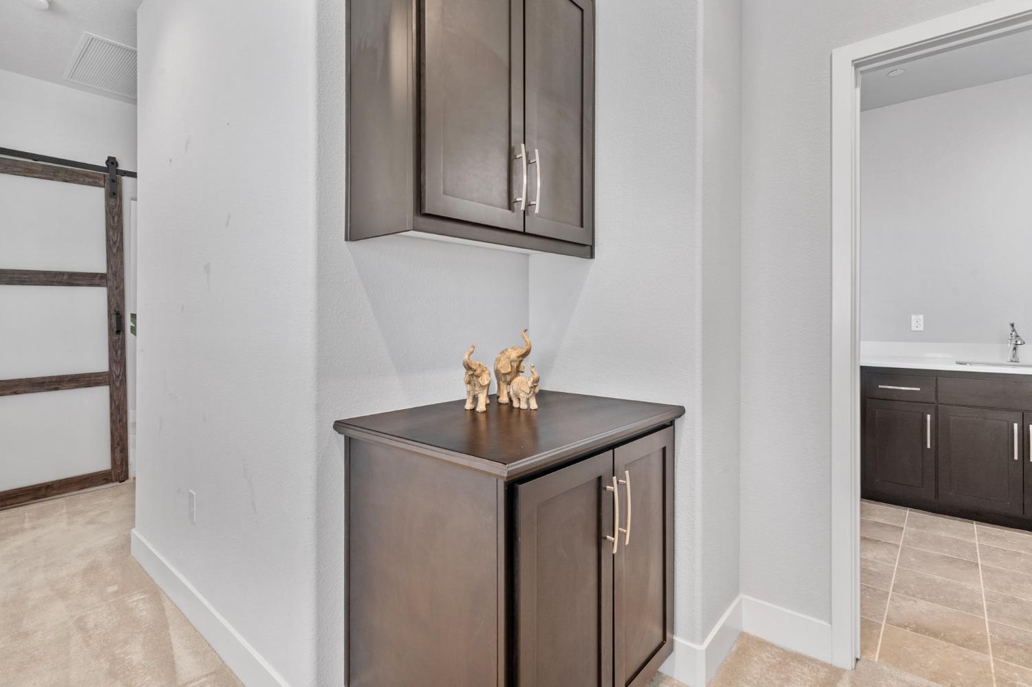 Detail Gallery Image 29 of 57 For 344 W Hopkins Ct, Mountain House,  CA 95391 - 4 Beds | 3 Baths