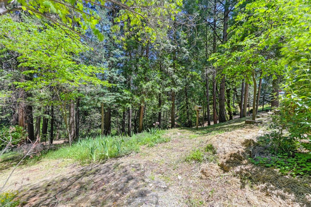Detail Gallery Image 72 of 99 For 237 Sunnyside Dr, Colfax,  CA 95713 - 3 Beds | 2 Baths