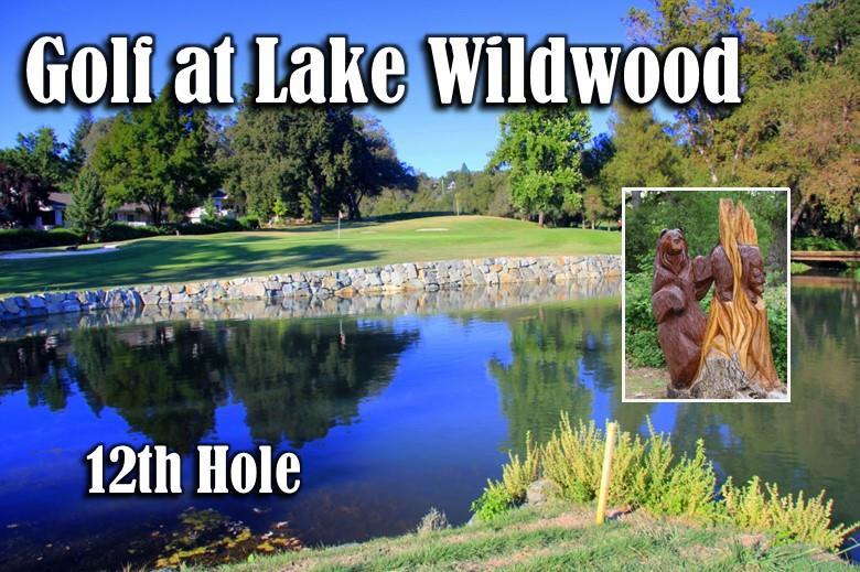 Detail Gallery Image 61 of 68 For 17725 Lake Forest Dr, Penn Valley,  CA 95946 - 3 Beds | 2 Baths