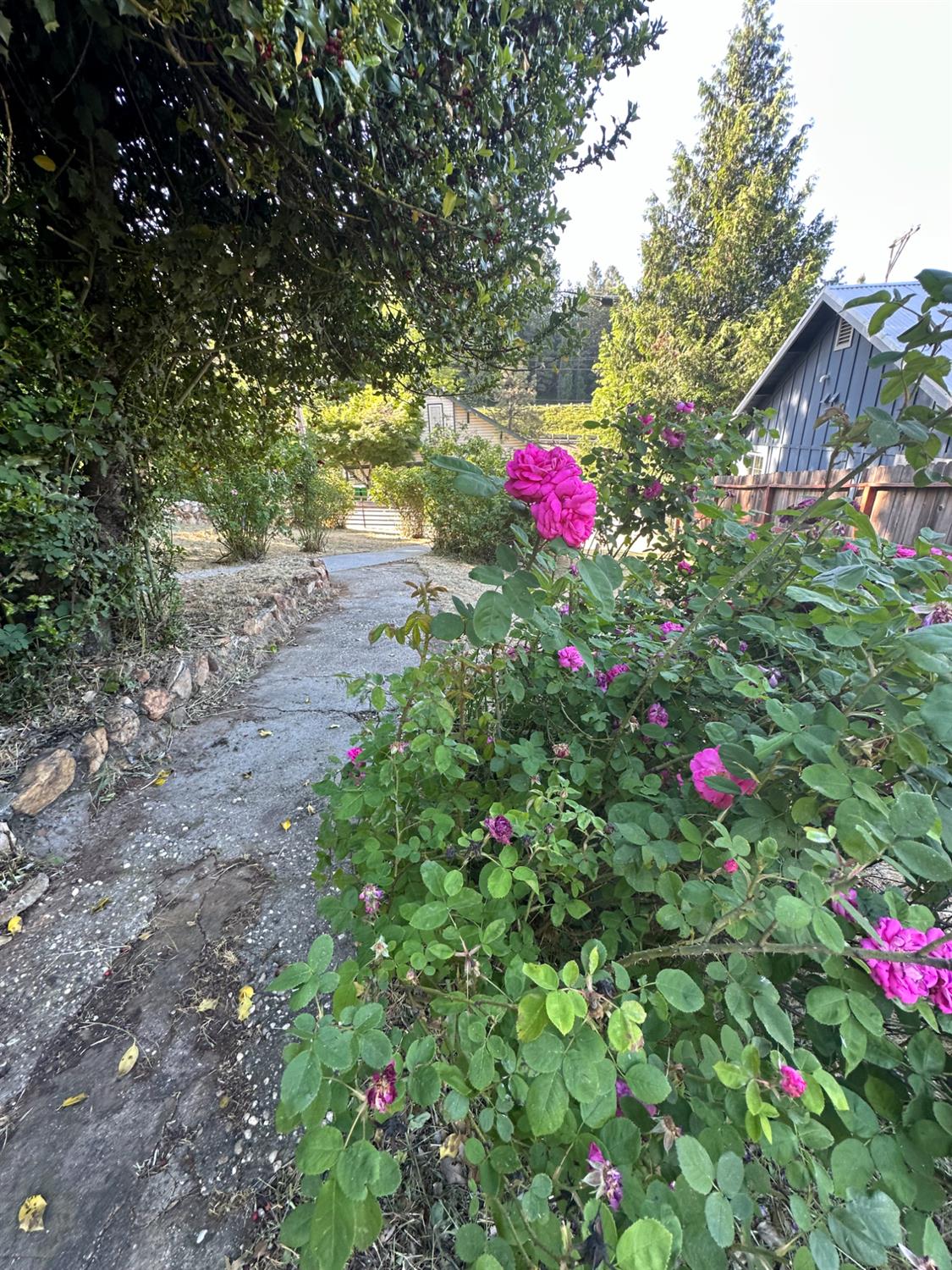 Detail Gallery Image 15 of 32 For 240 E Main St, Grass Valley,  CA 95945 - – Beds | – Baths
