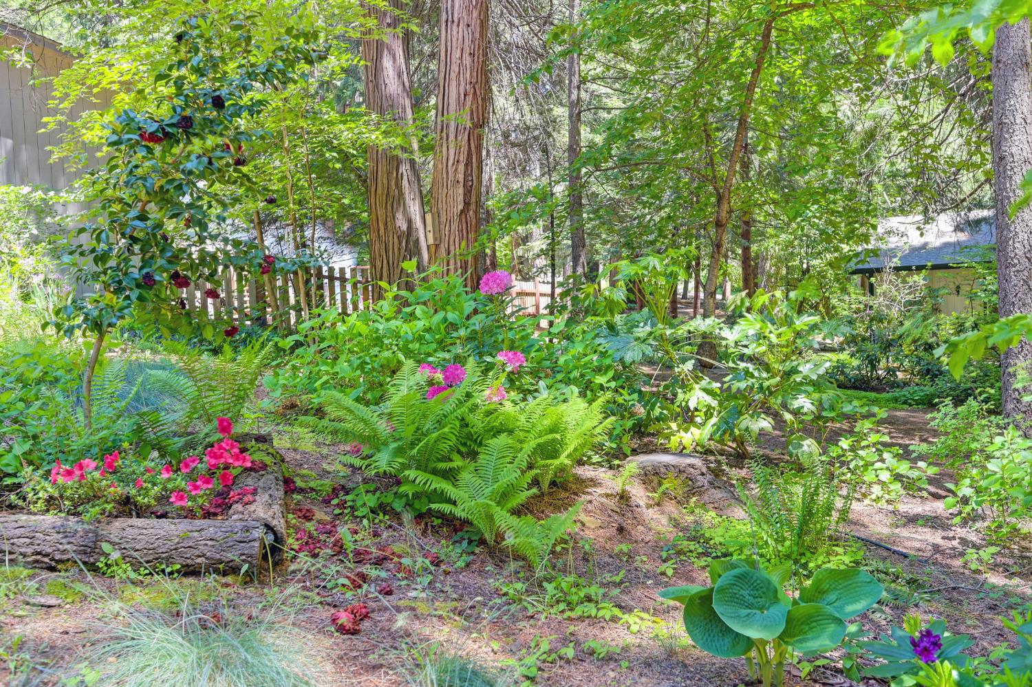 Detail Gallery Image 30 of 36 For 3063 Zinc Dr, Pollock Pines,  CA 95726 - 3 Beds | 2 Baths