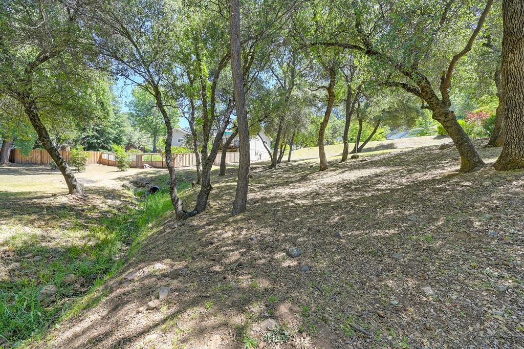 Detail Gallery Image 14 of 21 For 1624 Pheasant Run Dr, Placerville,  CA 95667 - – Beds | – Baths