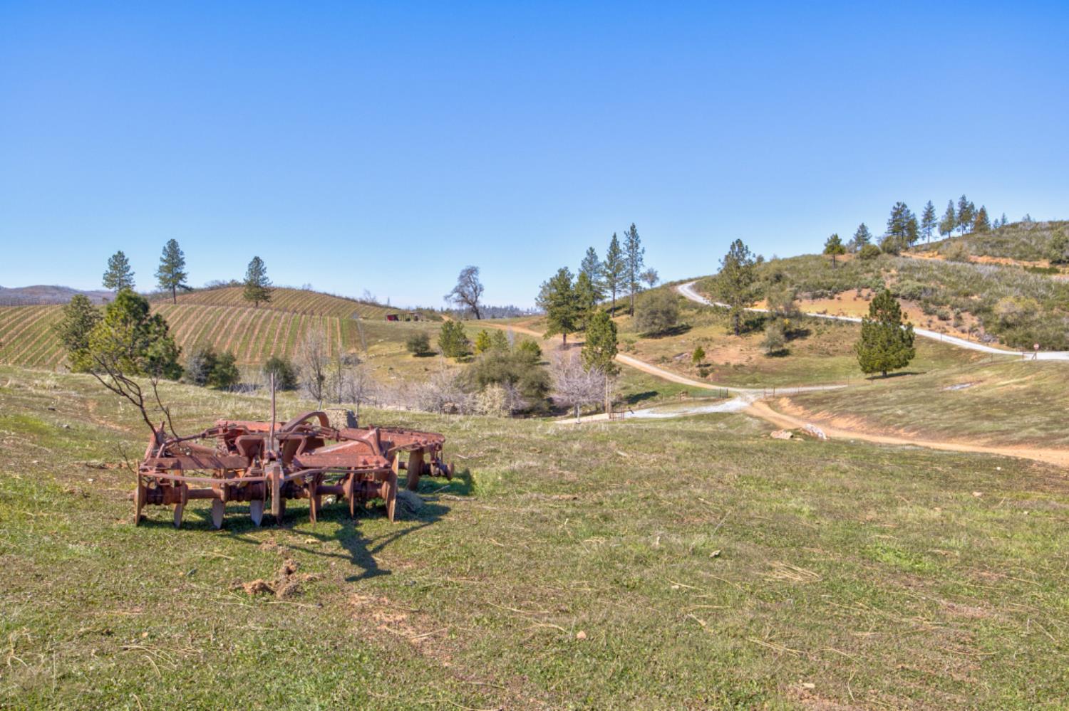 Detail Gallery Image 2 of 90 For 7005 Mountain Ranch Rd, Mountain Ranch,  CA 95246 - – Beds | – Baths