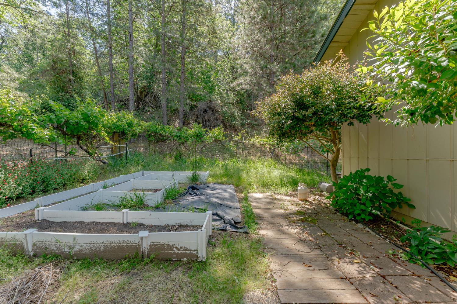 Detail Gallery Image 22 of 71 For 11107 Pekolee Dr, Grass Valley,  CA 95949 - 4 Beds | 3 Baths