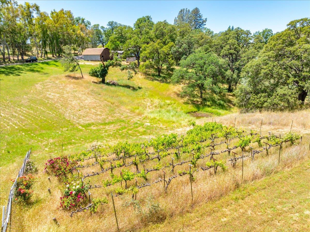 Detail Gallery Image 5 of 73 For 5116 Pondorex Rd, Auburn,  CA 95602 - 4 Beds | 3/1 Baths