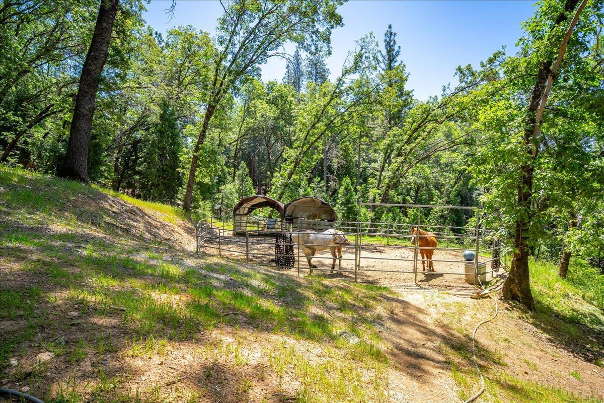 Detail Gallery Image 59 of 85 For 6551 Forest View Dr, Georgetown,  CA 95634 - 3 Beds | 3/1 Baths