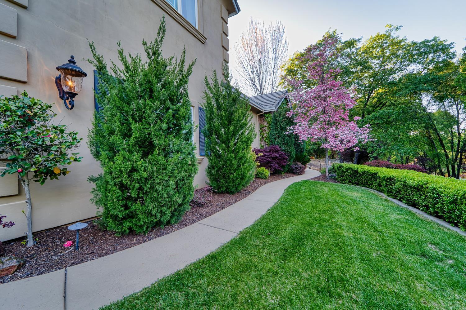 Detail Gallery Image 8 of 75 For 215 Oak Brook Ct, Auburn,  CA 95602 - 3 Beds | 2/1 Baths
