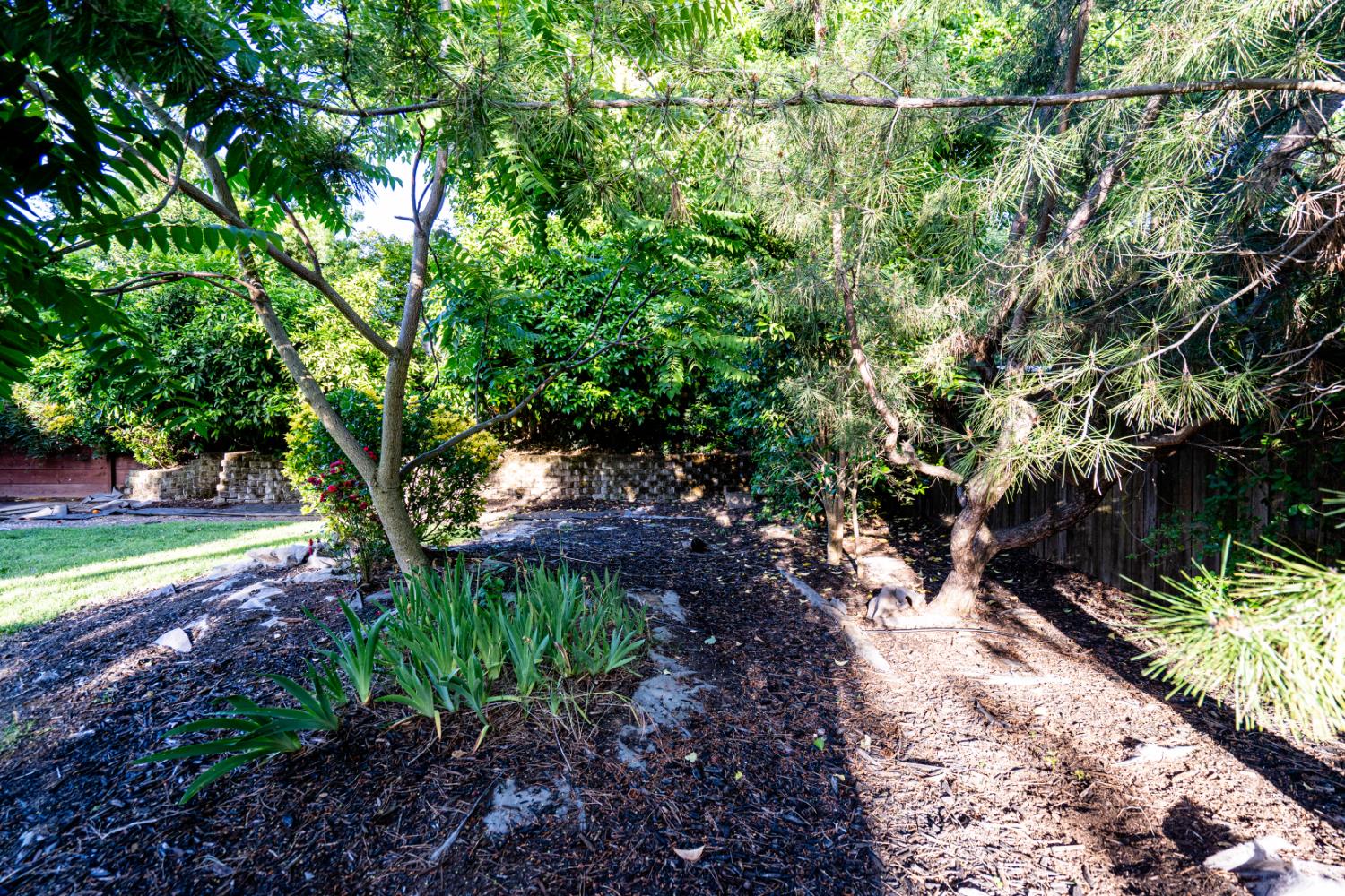 Jonnie Way, Fair Oaks, California image 32