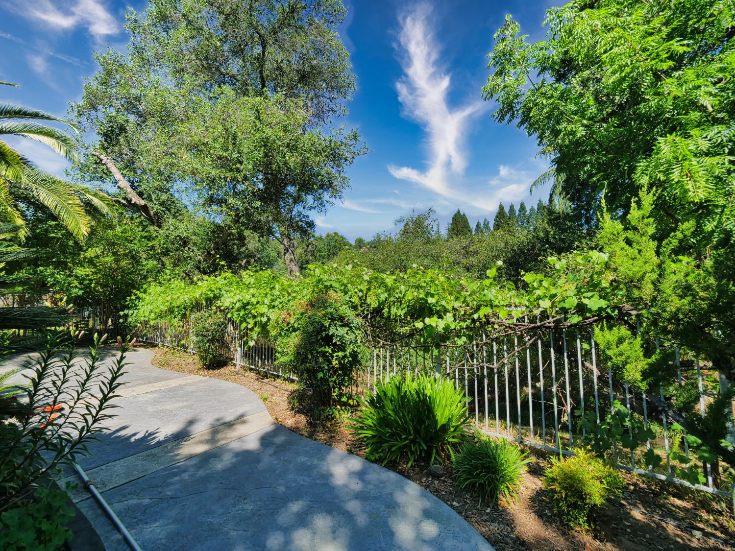 Detail Gallery Image 53 of 77 For 3710 Clover Valley Rd, Rocklin,  CA 95677 - 4 Beds | 3/1 Baths