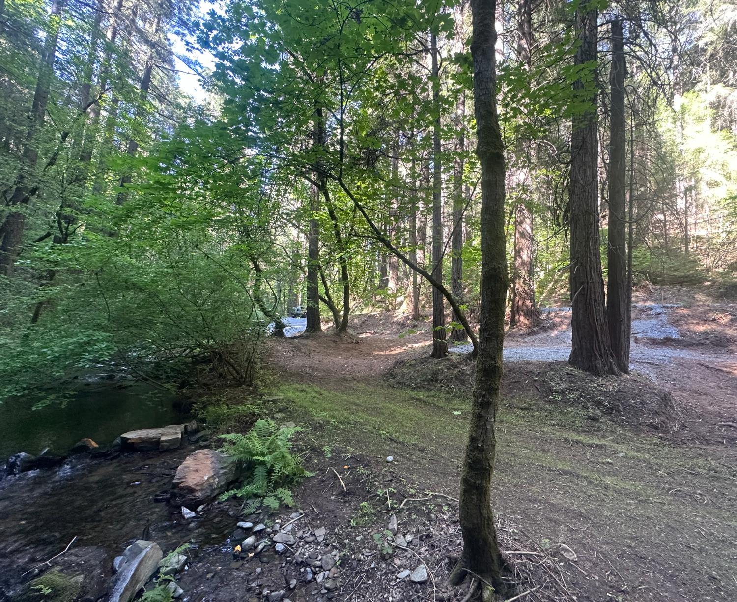 Detail Gallery Image 9 of 14 For 0 Clear Creek Road, Placerville,  CA 95667 - – Beds | – Baths