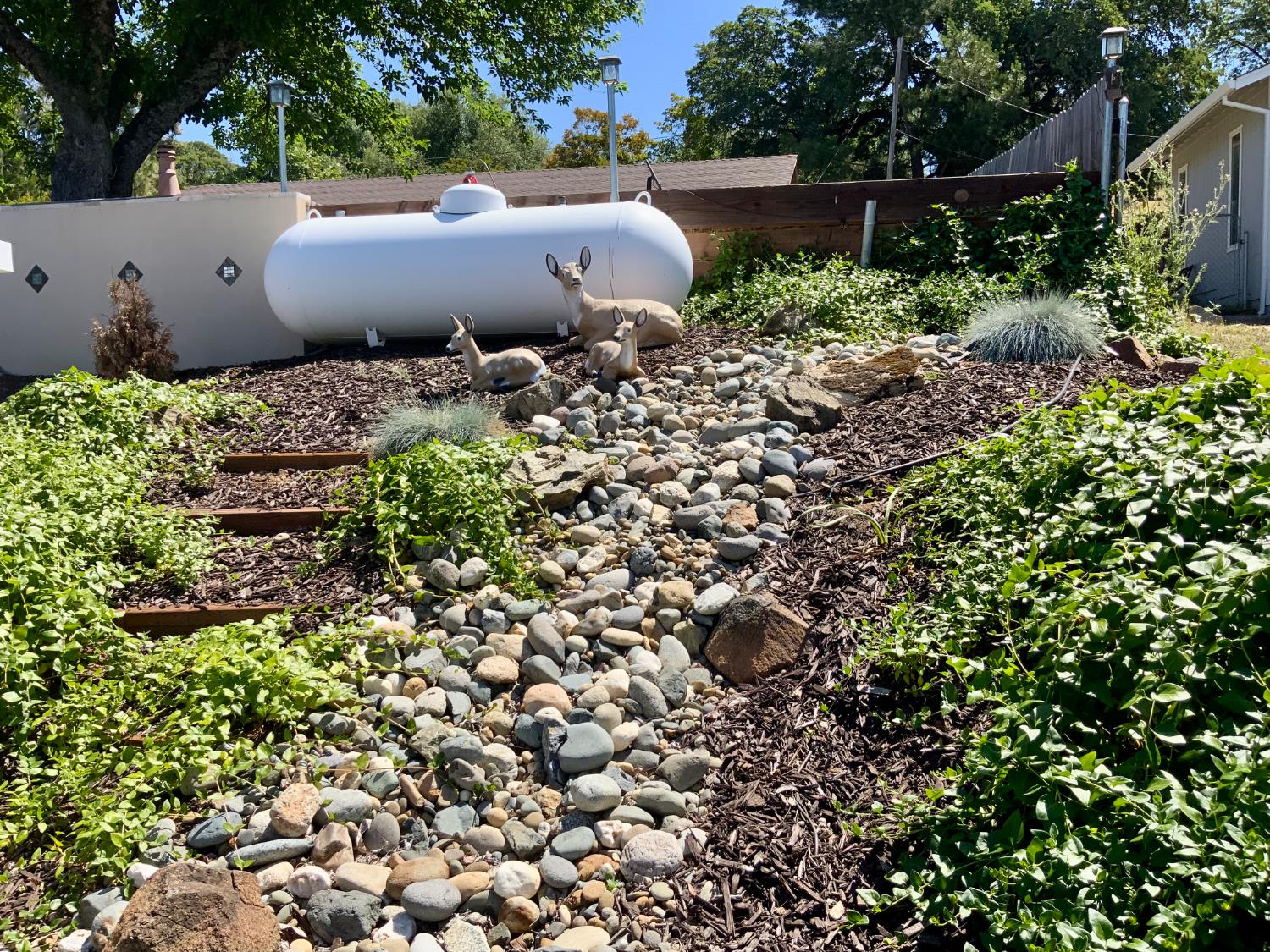 Detail Gallery Image 41 of 49 For 2367 Ponderosa Rd, Rescue,  CA 95672 - 3 Beds | 2 Baths