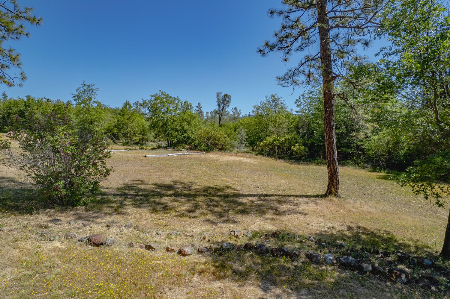 Detail Gallery Image 42 of 51 For 14056 Frenchtown Rd, Oregon House,  CA 95962 - 3 Beds | 2 Baths