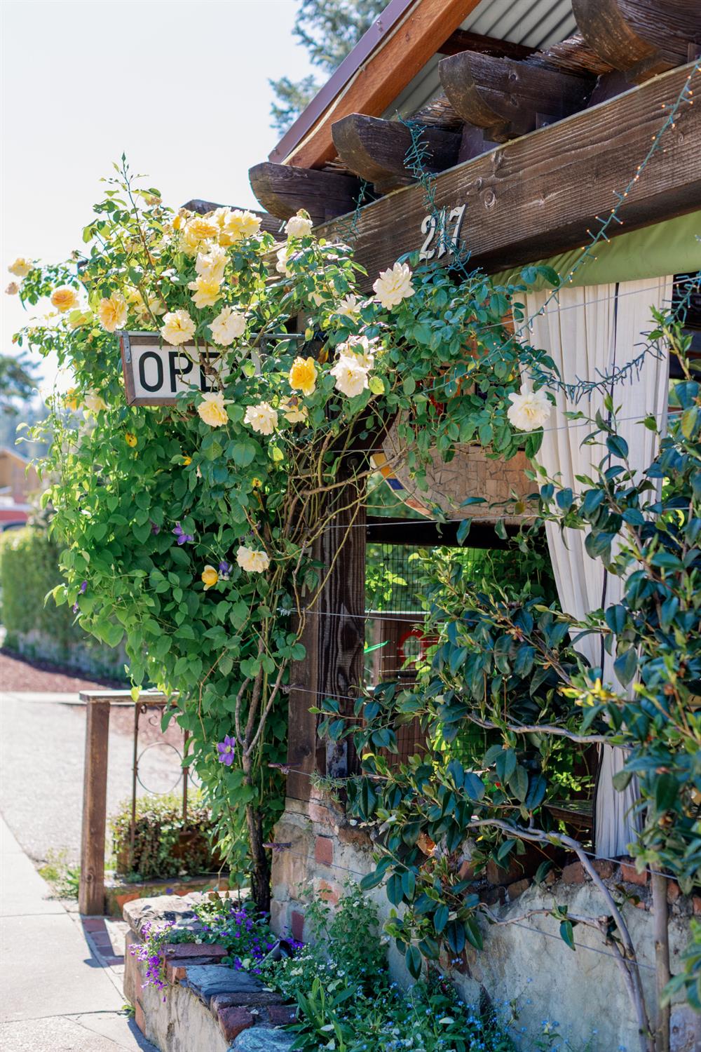 Detail Gallery Image 23 of 28 For 217 Colfax Ave, Grass Valley,  CA 95945 - – Beds | – Baths