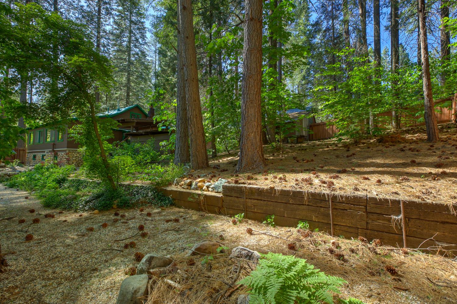 Detail Gallery Image 31 of 46 For 514 Alta Power House Rd, Alta,  CA 95701 - 3 Beds | 2 Baths