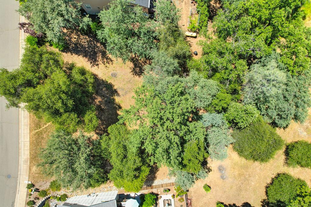 Detail Gallery Image 18 of 21 For 1624 Pheasant Run Dr, Placerville,  CA 95667 - – Beds | – Baths