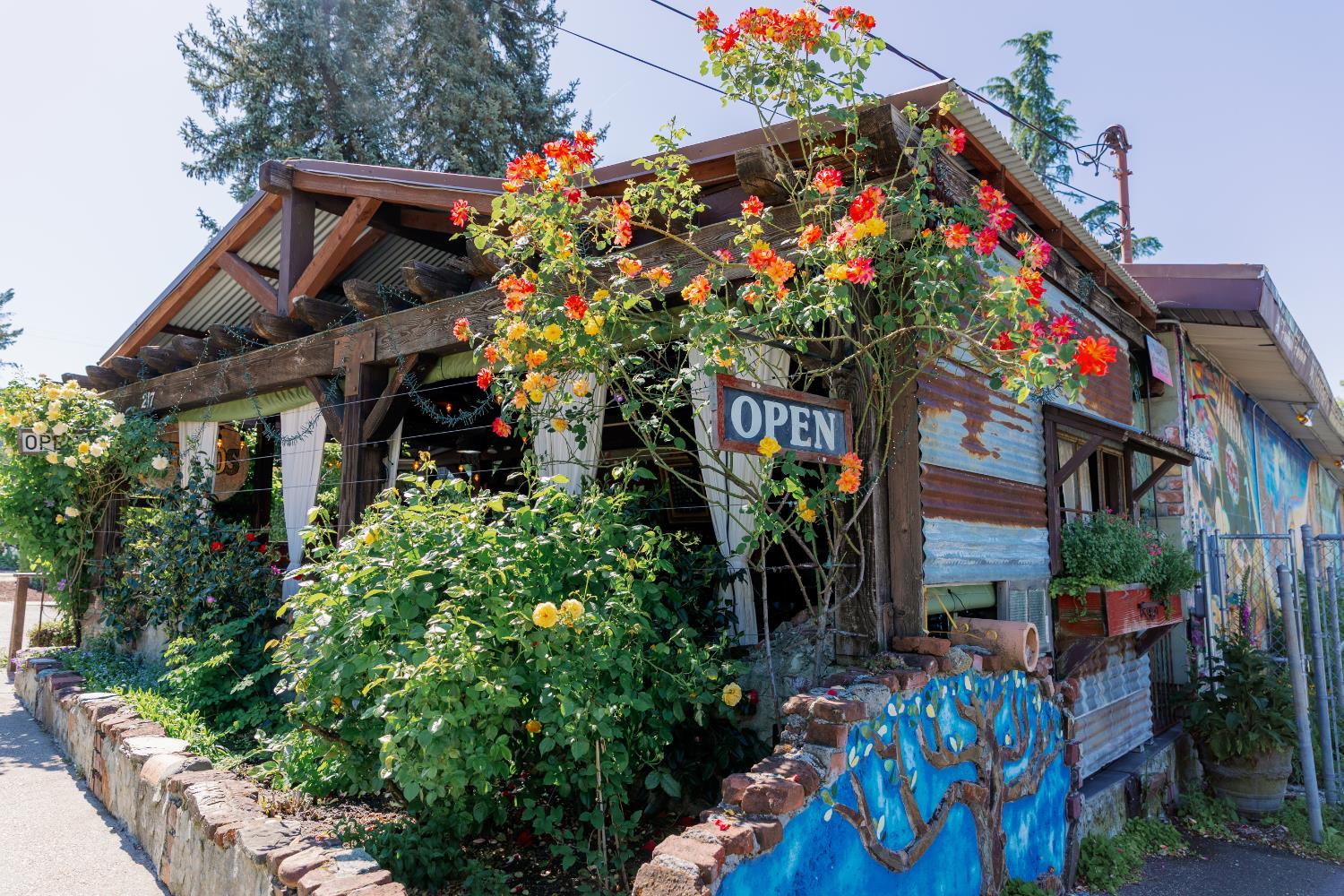 Detail Gallery Image 1 of 28 For 217 Colfax Ave, Grass Valley,  CA 95945 - – Beds | – Baths