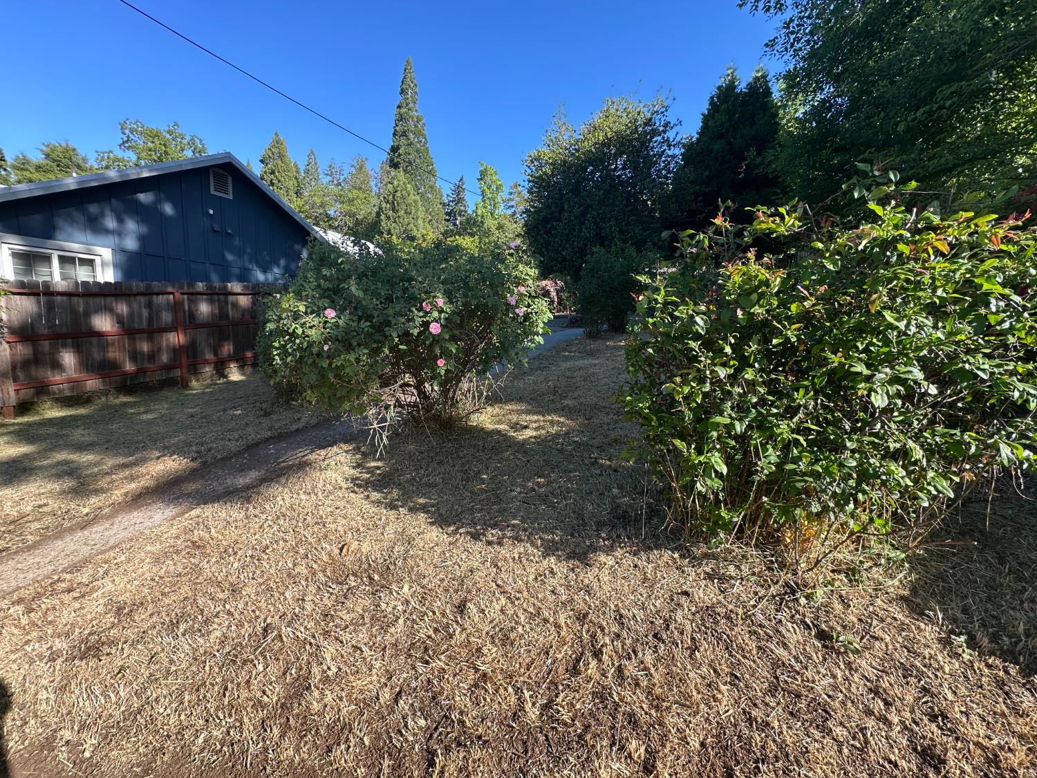 Detail Gallery Image 2 of 32 For 240 E Main St, Grass Valley,  CA 95945 - – Beds | – Baths
