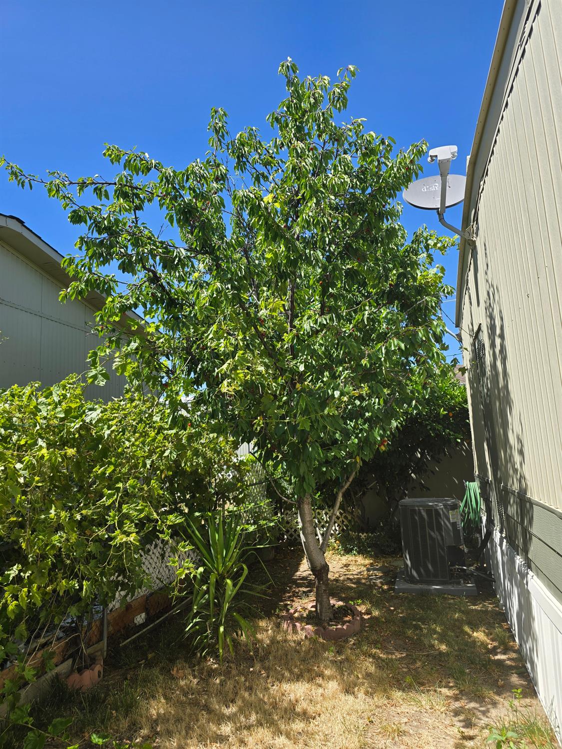 Detail Gallery Image 38 of 47 For 7425 Sylmar Ln 181, Sacramento,  CA 95842 - 3 Beds | 2 Baths