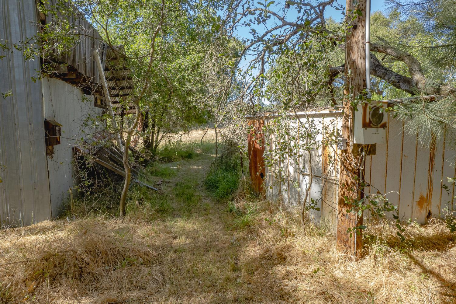 Detail Gallery Image 14 of 40 For 2891 Swetzer Rd, Loomis,  CA 95650 - – Beds | – Baths