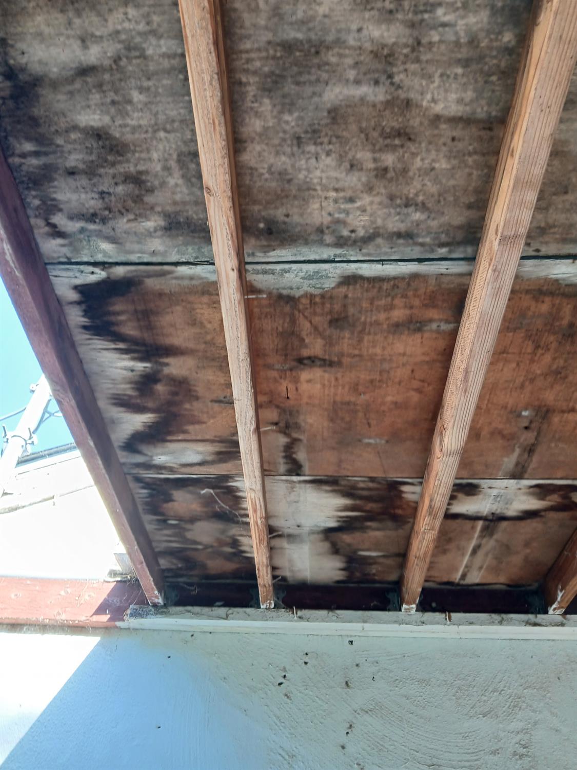 Detail Gallery Image 38 of 80 For 254 Woodbridge Ave, Yuba City,  CA 95991 - – Beds | – Baths
