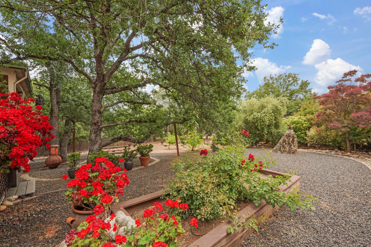 Detail Gallery Image 61 of 65 For 658 Live Oak Dr, Angels Camp,  CA 95222 - 3 Beds | 2/1 Baths