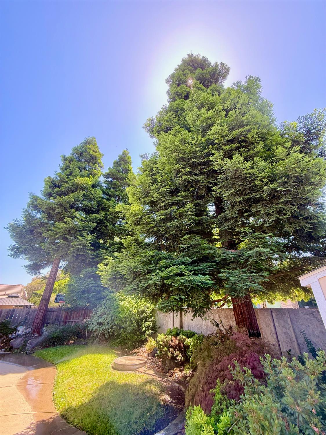 Detail Gallery Image 43 of 46 For 5271 Barbados Cir, Stockton,  CA 95210 - 4 Beds | 2 Baths