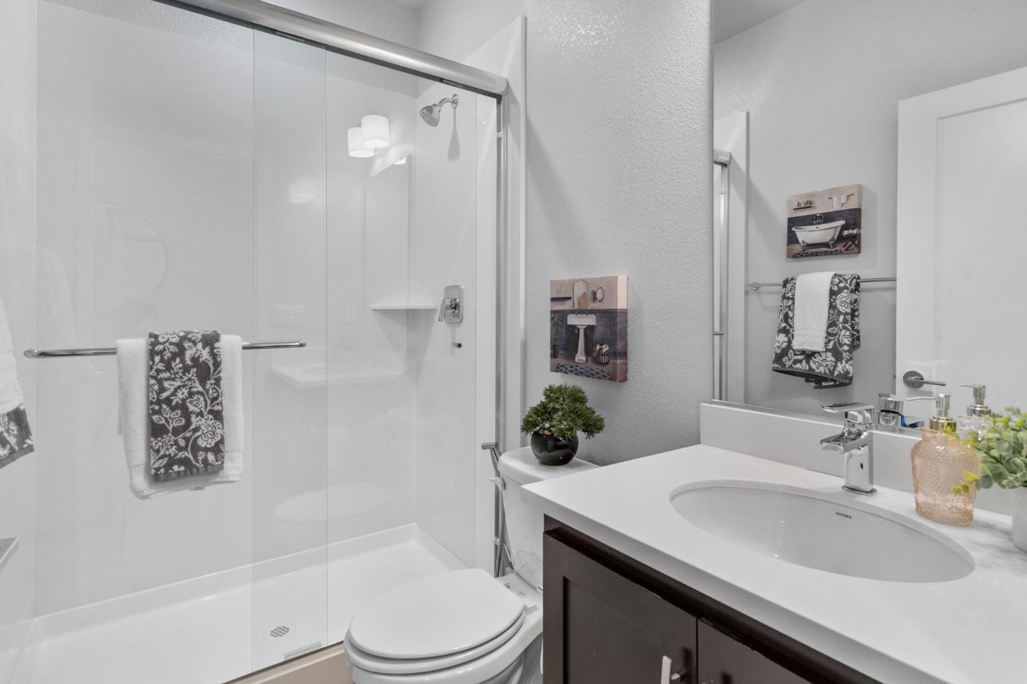 Detail Gallery Image 9 of 57 For 344 W Hopkins Ct, Mountain House,  CA 95391 - 4 Beds | 3 Baths