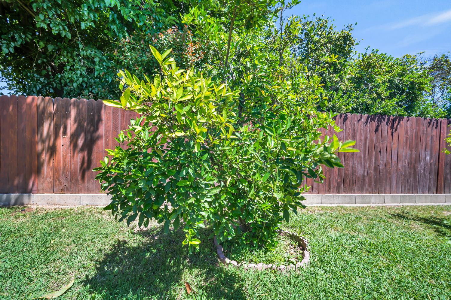 Detail Gallery Image 33 of 47 For 7166 Arutas Dr, North Highlands,  CA 95660 - 3 Beds | 2 Baths