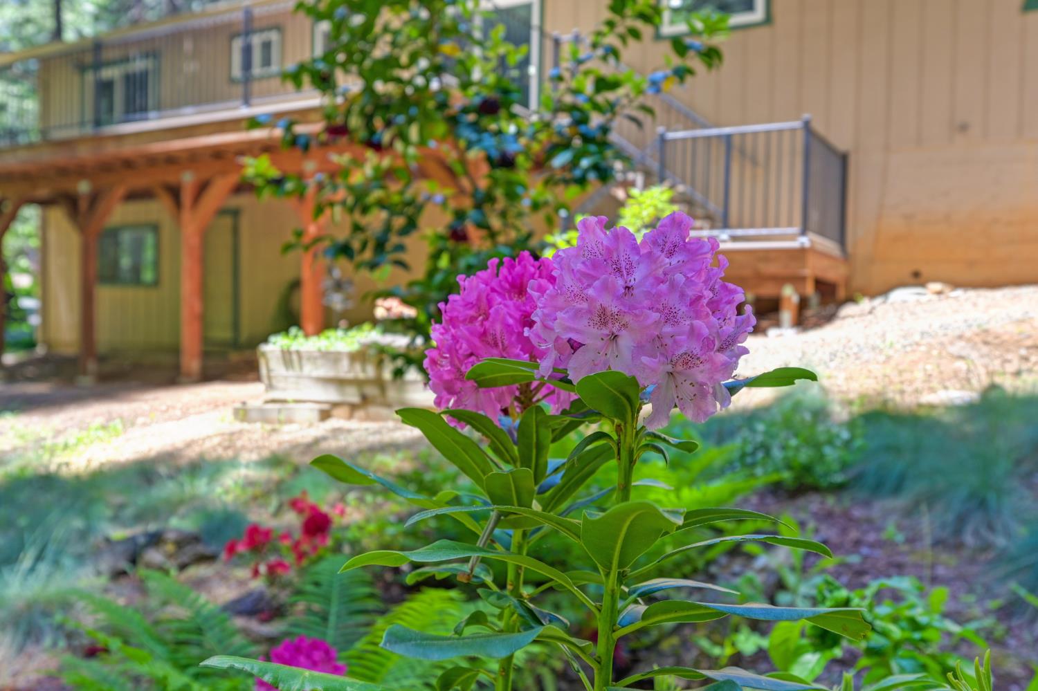 Detail Gallery Image 32 of 36 For 3063 Zinc Dr, Pollock Pines,  CA 95726 - 3 Beds | 2 Baths