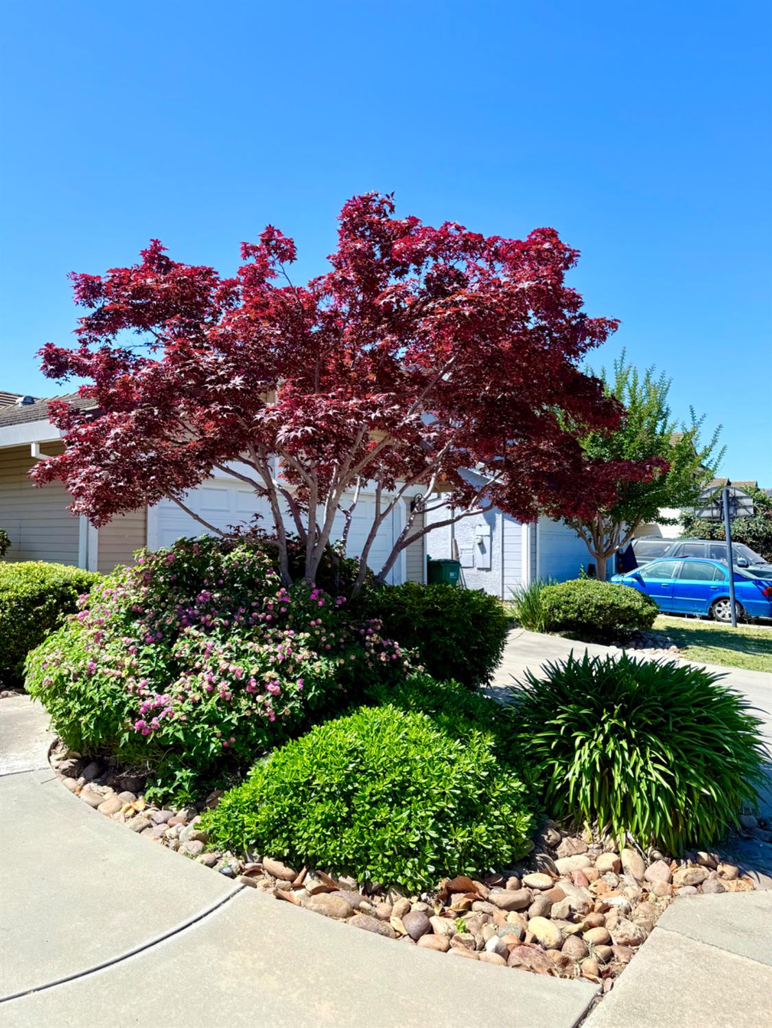 Detail Gallery Image 4 of 46 For 5271 Barbados Cir, Stockton,  CA 95210 - 4 Beds | 2 Baths