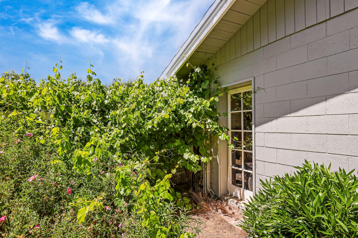 Detail Gallery Image 50 of 76 For 457 Russell Rd, San Andreas,  CA 95249 - 2 Beds | 1 Baths