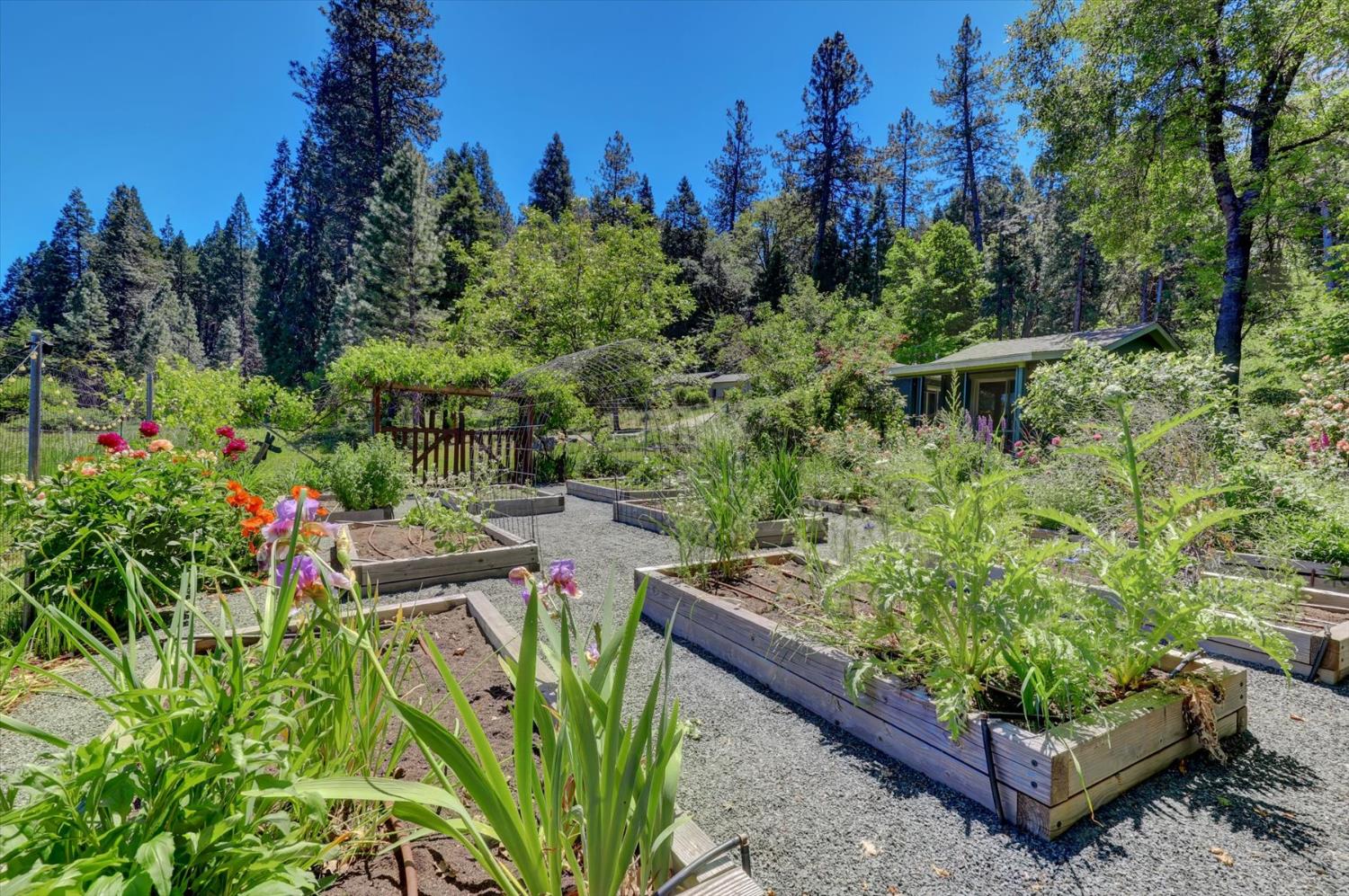 Detail Gallery Image 62 of 69 For 10808 Footwall Dr, Grass Valley,  CA 95945 - 2 Beds | 2/1 Baths