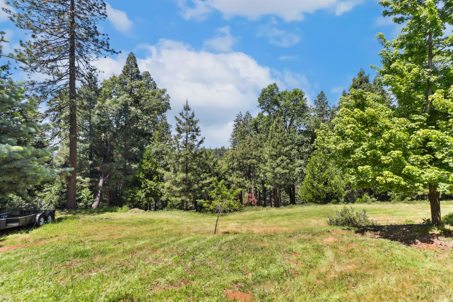 Detail Gallery Image 54 of 72 For 6003 Dolly Varden Ln, Pollock Pines,  CA 95726 - 3 Beds | 2 Baths