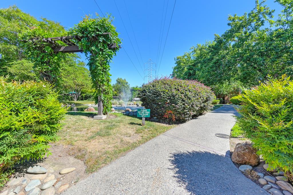 Photo #54: 225066919 Listing: Photo #54