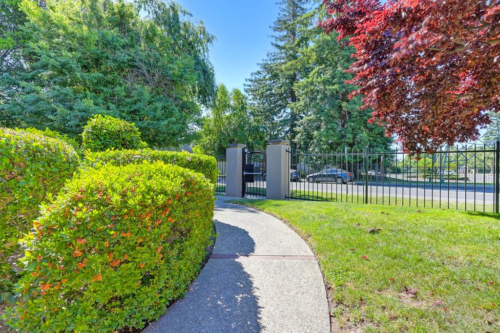 Photo #53: 225066919 Listing: Photo #53
