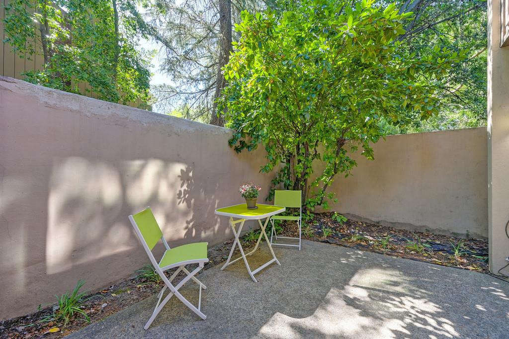 Photo #35: 225066919 Listing: Photo #35