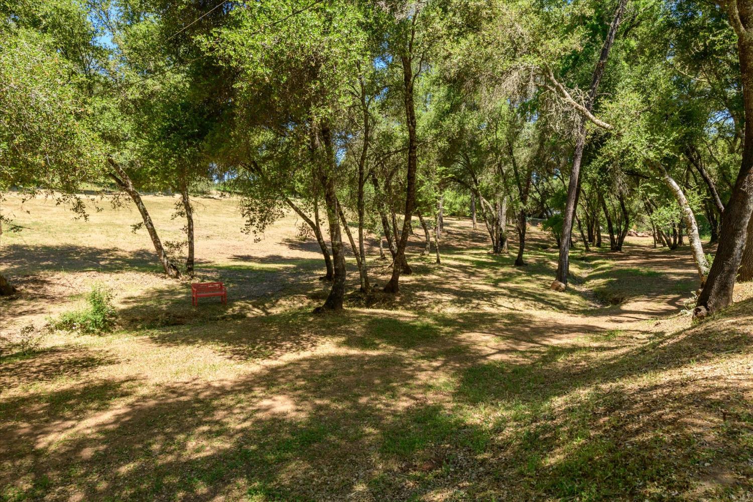 Detail Gallery Image 42 of 57 For 13885 Wilma Ct, Fiddletown,  CA 95629 - 2 Beds | 2 Baths