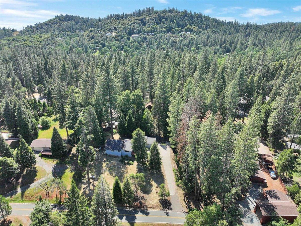 Detail Gallery Image 48 of 50 For 16625 Alpine Ln, Pioneer,  CA 95666 - 3 Beds | 2 Baths